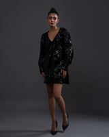 Velvet Sequence Mini Dress